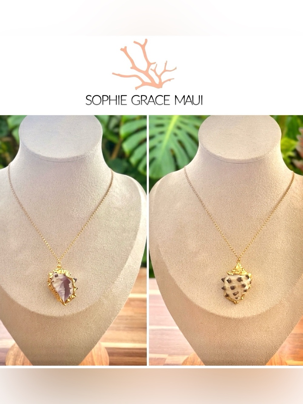 Sophie Grace Maui 🐚 Hawaii Gold Dipped $180 Drupe Seashell Necklace